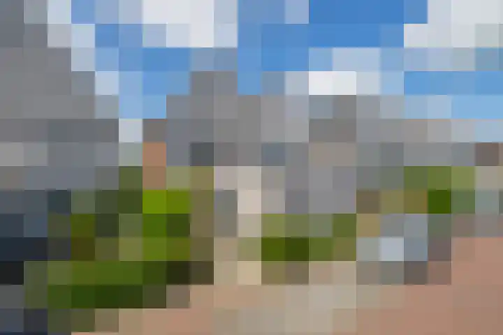 Paardenakker 22 Wormer thumbnail 45