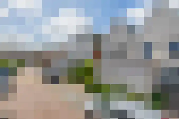 Paardenakker 22 Wormer thumbnail 8