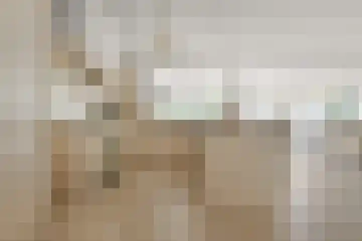 Paardenakker 25 Wormer thumbnail 13