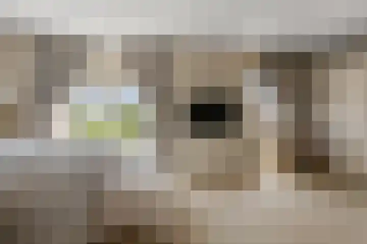 Paardenakker 25 Wormer thumbnail 20