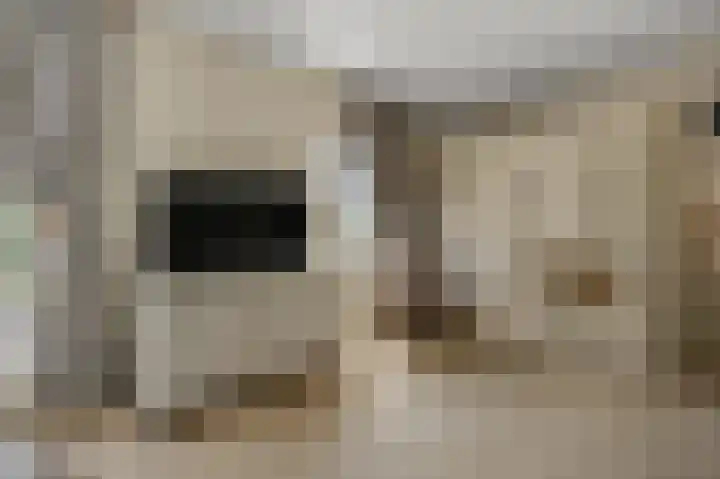 Paardenakker 25 Wormer thumbnail 22