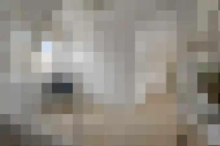 Paardenakker 25 Wormer thumbnail 23