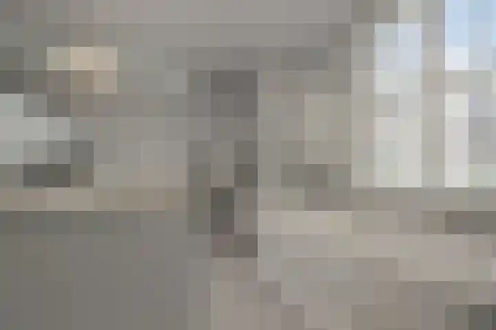 Paardenakker 25 Wormer thumbnail 28