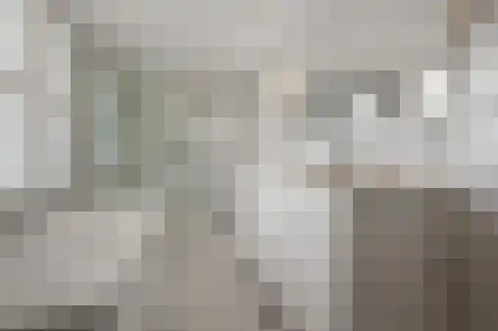 Paardenakker 25 Wormer thumbnail 29