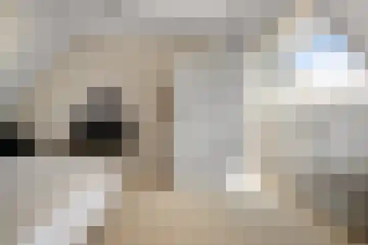 Paardenakker 25 Wormer thumbnail 32