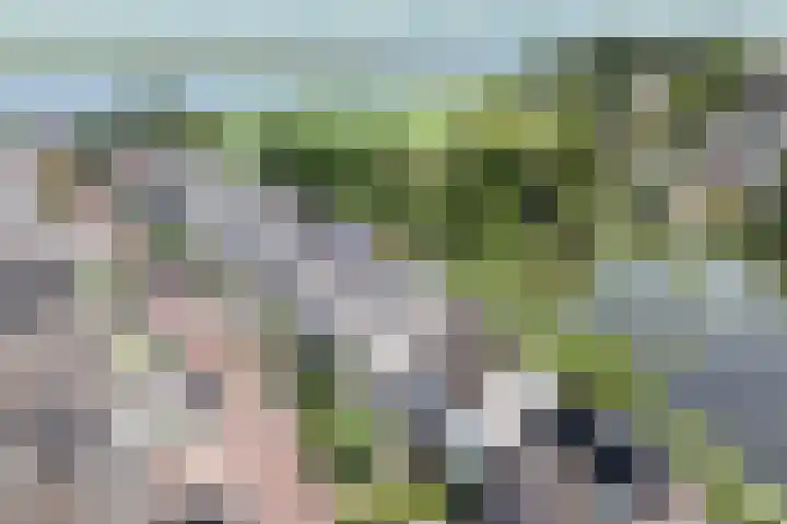 Paardenakker 25 Wormer thumbnail 41
