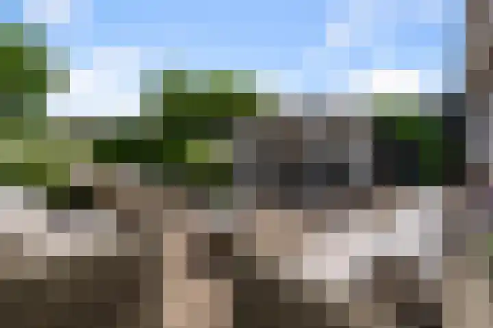 Paardenakker 25 Wormer thumbnail 42