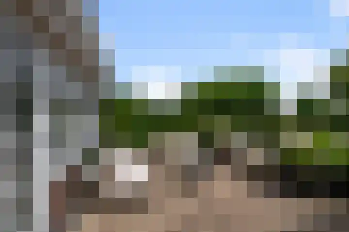 Paardenakker 25 Wormer thumbnail 43