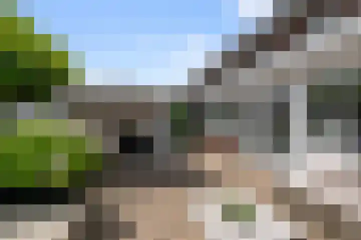 Paardenakker 25 Wormer thumbnail 44