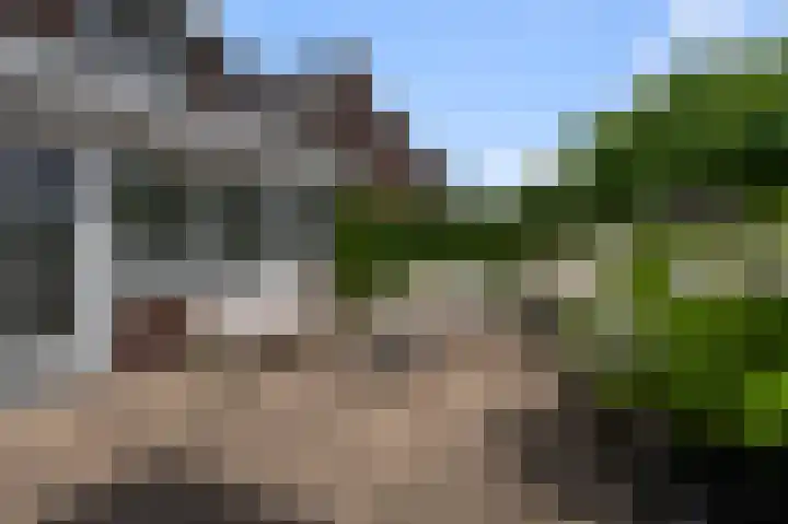 Paardenakker 25 Wormer thumbnail 45