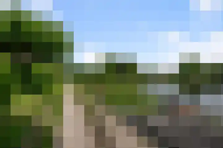 Paardenakker 25 Wormer thumbnail 48