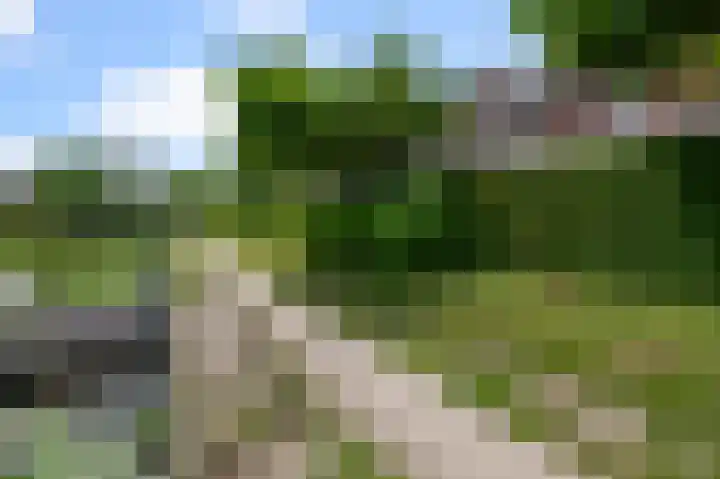 Paardenakker 25 Wormer thumbnail 49