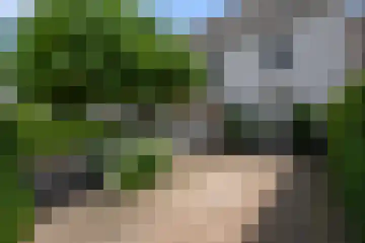 Paardenakker 25 Wormer thumbnail 50