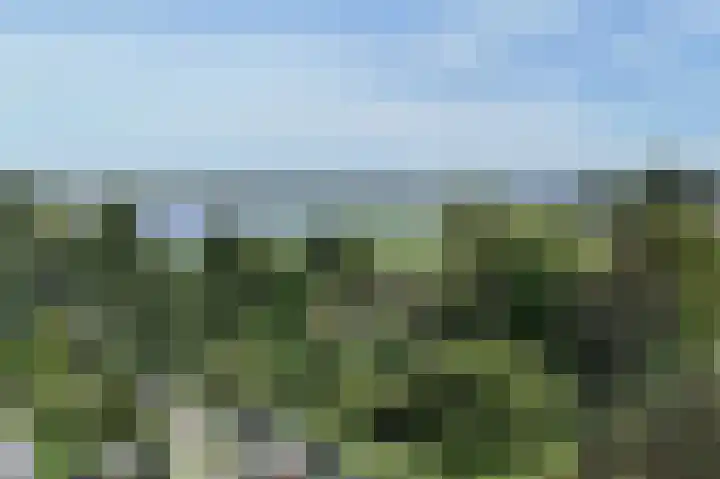 Paardenakker 25 Wormer thumbnail 51