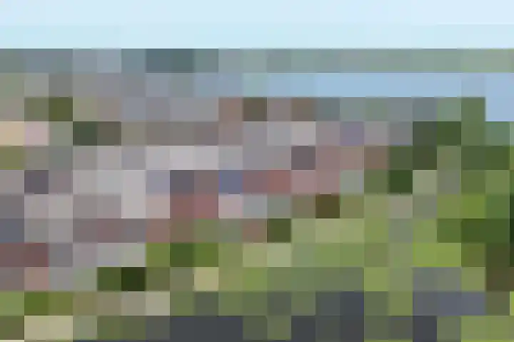 Paardenakker 25 Wormer thumbnail 52