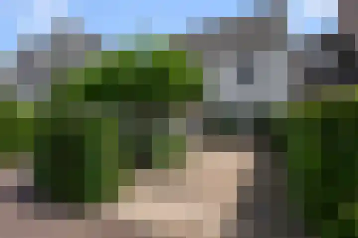 Paardenakker 25 Wormer thumbnail 58