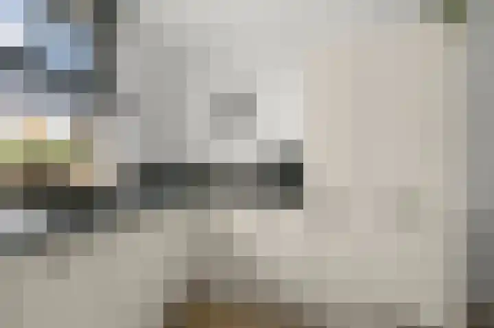 Paardenakker 26 Wormer thumbnail 12