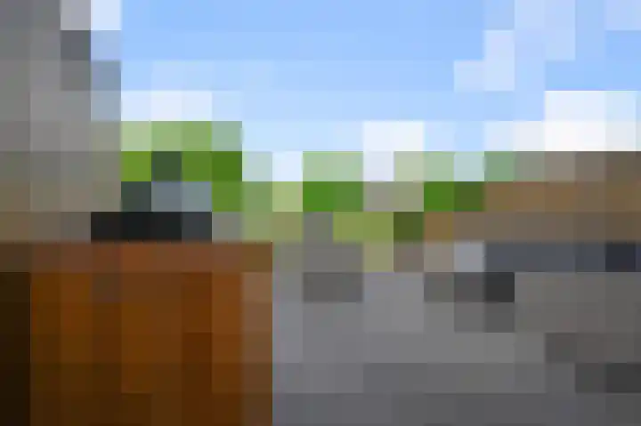 Paardenakker 26 Wormer thumbnail 14