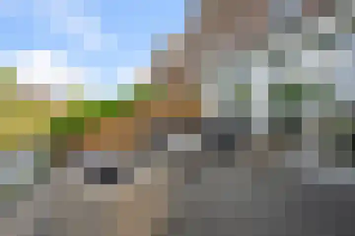 Paardenakker 26 Wormer thumbnail 15