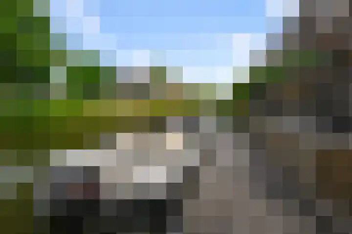 Paardenakker 26 Wormer thumbnail 16