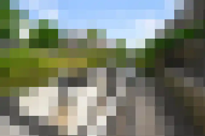Paardenakker 26 Wormer thumbnail 17