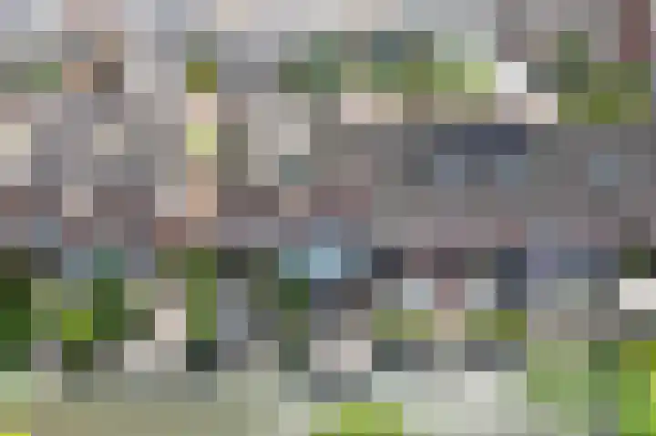 Paardenakker 26 Wormer thumbnail 18