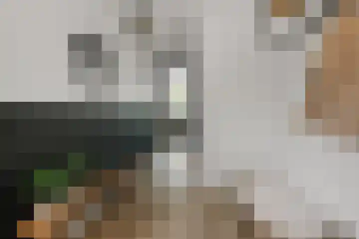 Paardenakker 26 Wormer thumbnail 21