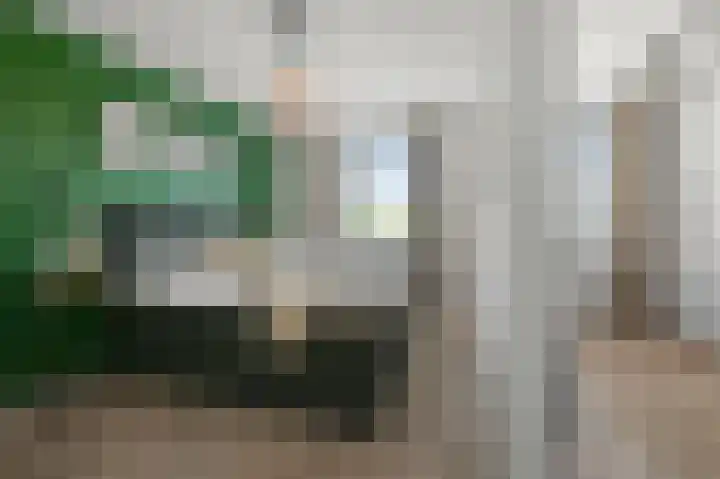 Paardenakker 26 Wormer thumbnail 25