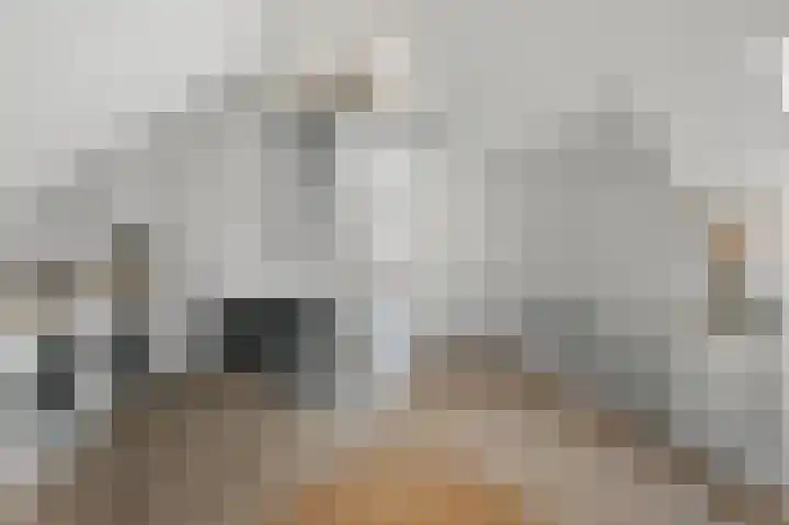 Paardenakker 26 Wormer thumbnail 39
