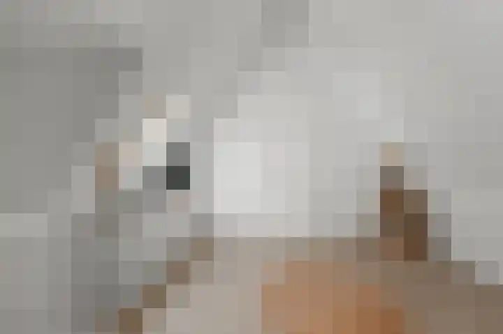 Paardenakker 26 Wormer thumbnail 43