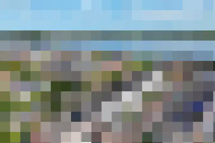 Paardenakker 26 Wormer thumbnail 47