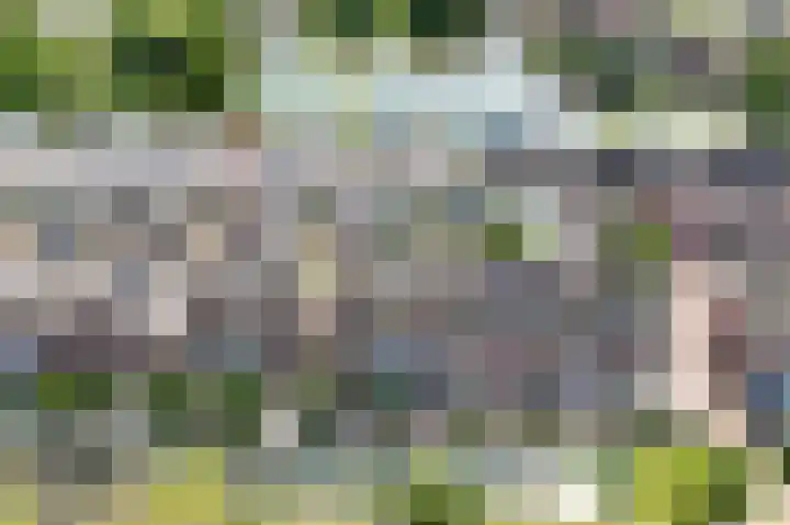 Paardenakker 26 Wormer thumbnail 54