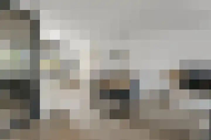 Paardenakker 26 Wormer thumbnail 8