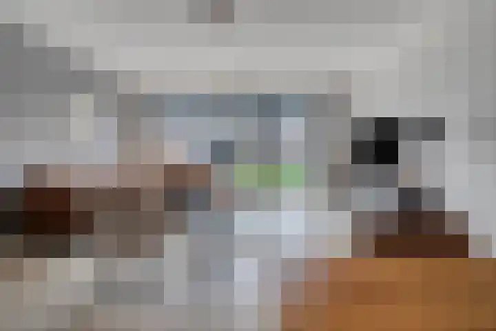 Paardenbloem 11 Berghem