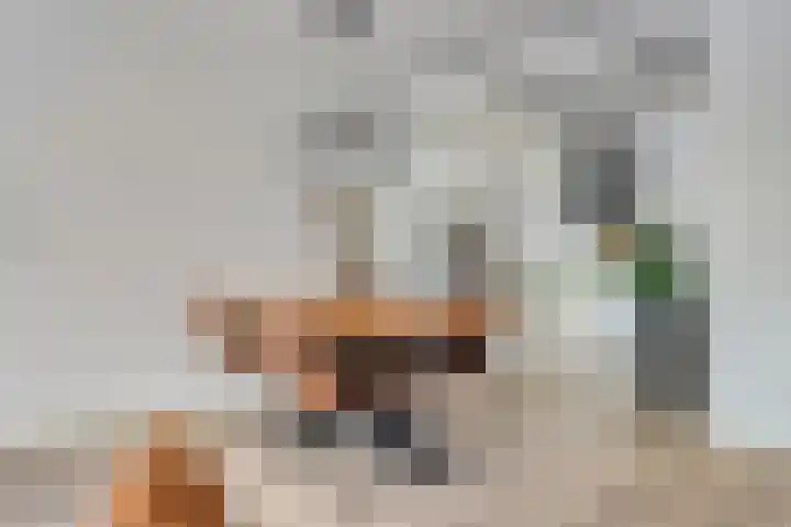 Paardenbloem 11 Berghem thumbnail 11