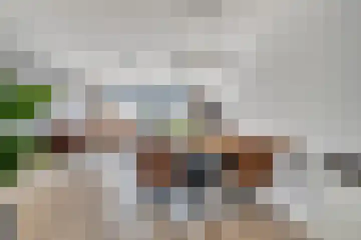Paardenbloem 11 Berghem thumbnail 12