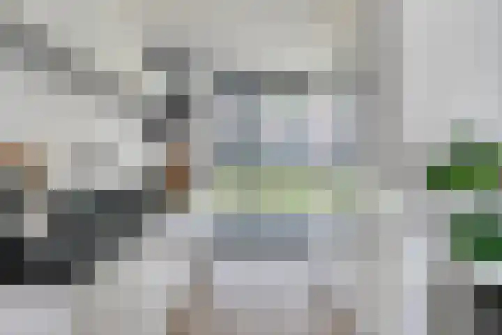 Paardenbloem 11 Berghem thumbnail 13
