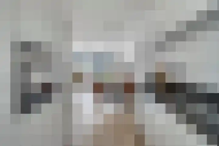 Paardenbloem 11 Berghem thumbnail 14