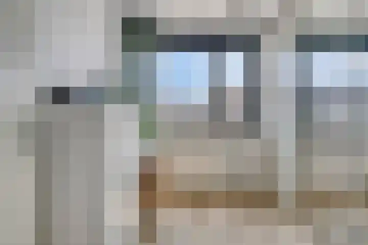 Paardenbloem 11 Berghem thumbnail 20