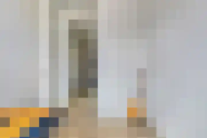 Paardenbloem 11 Berghem thumbnail 23