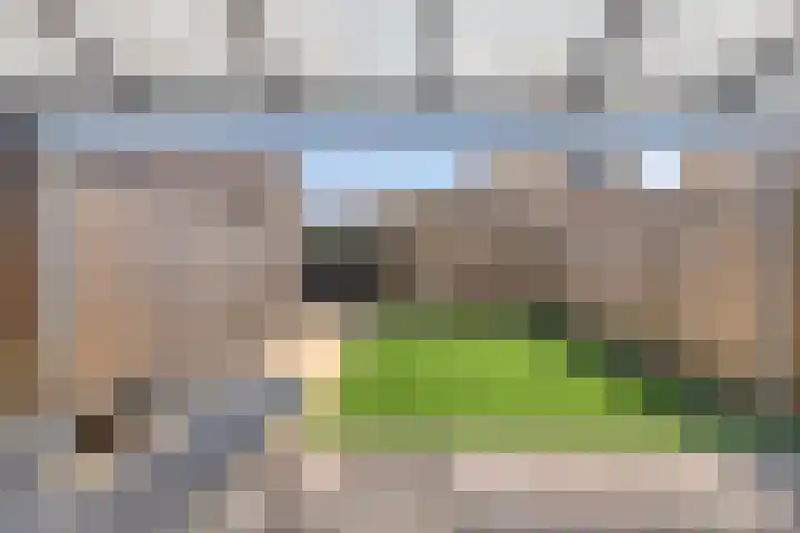 Paardenbloem 11 Berghem thumbnail 29