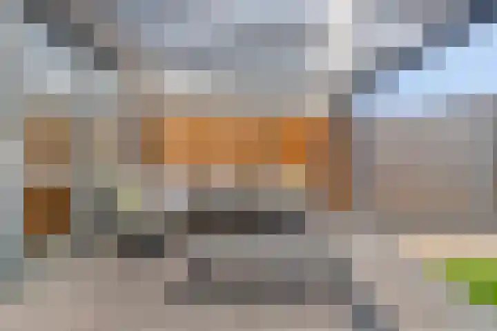 Paardenbloem 11 Berghem thumbnail 31