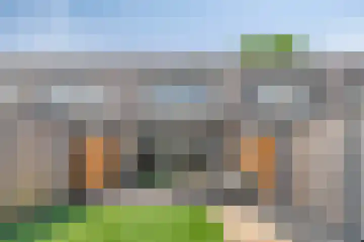 Paardenbloem 11 Berghem thumbnail 32