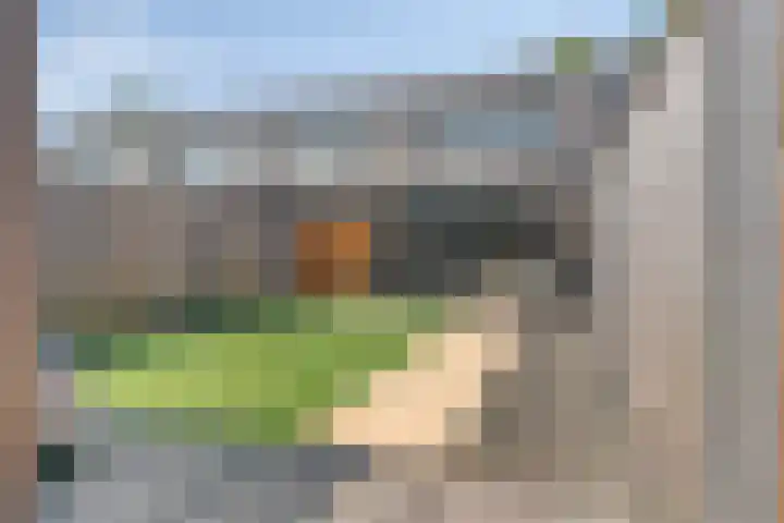 Paardenbloem 11 Berghem thumbnail 33