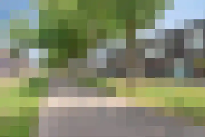 Paardenbloem 11 Berghem thumbnail 34
