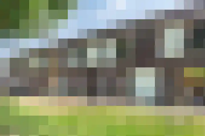 Paardenbloem 11 Berghem thumbnail 35