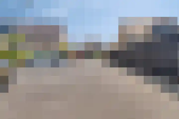 Paardenbloem 11 Berghem thumbnail 36