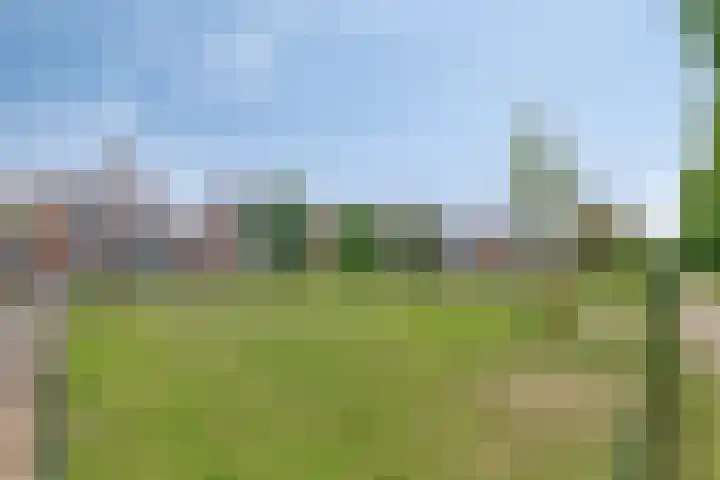Paardenbloem 11 Berghem thumbnail 38