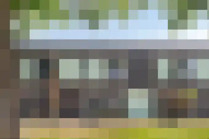 Paardenbloem 11 Berghem thumbnail 5