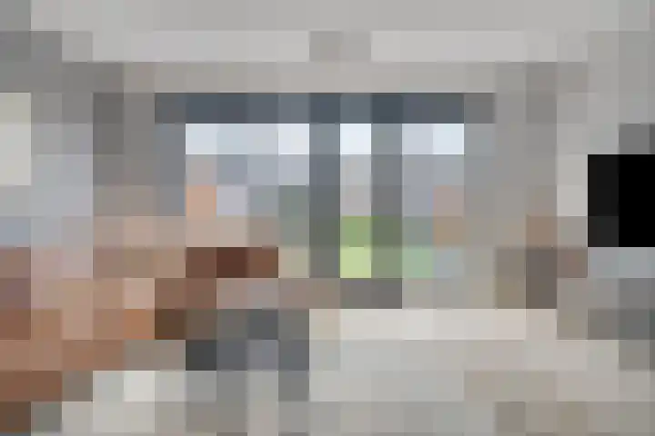 Paardenbloem 11 Berghem thumbnail 8